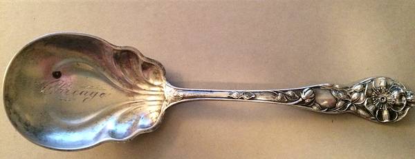 Wild Rose (Sterling, 1905) Preserve Spoon