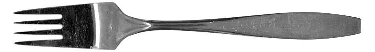 WWA2 (Stainless) Fork