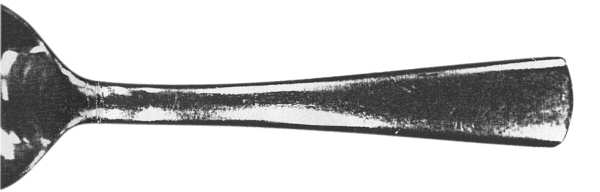 WAS55 (Stainless) by Wallace Silver