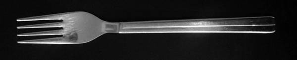 Life (Stainless) Fork