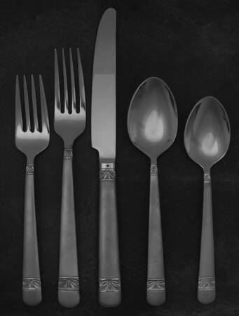 Wicklow-Matte (Stainless) 5 Piece Place Setting