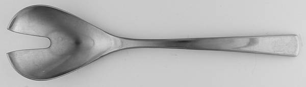 Domus-Brasilia (Stainless) Solid Salad Serving Fork
