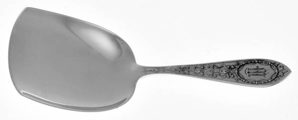 Adam (Sterling, 1907) Tea Caddy Spoon
