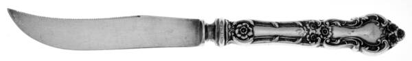 Meadow Rose (Sterling, 1907, No Monos) Individual Fruit Knife with Silverplate Blade