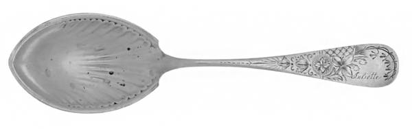 Antique Lily-Engraved (Sterling, 1882) Large Jelly Spoon