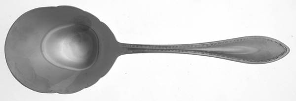 American Tradition (Stainless) Solid Shell Casserole Spoon