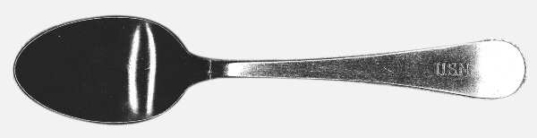 WCS2 (STAINLESS) Teaspoon