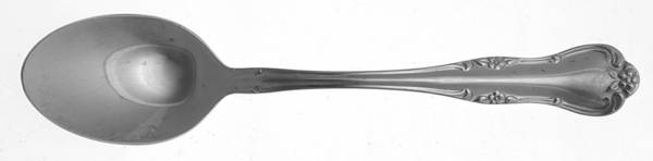 Provincial (STAINLESS) Teaspoon
