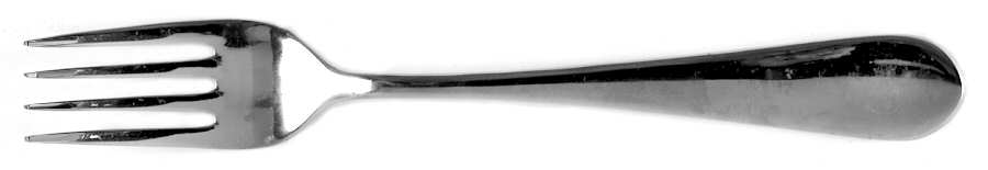 WAS113 (STAINLESS) Fork