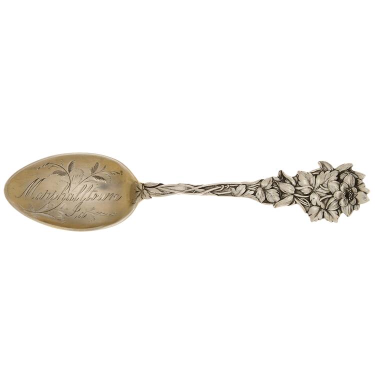 Floral Series #1 (Sterling) Five O'Clock Souvenir Spoon
