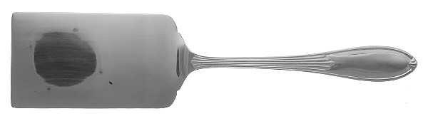 Astra (Stainless) Lasagna Server, Solid Piece