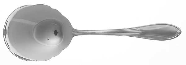 Astra (Stainless) Solid Shell Casserole Spoon