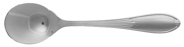 Astra (Stainless) Sugar Spoon