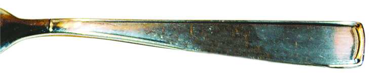 WIF22 (Silverplate) by Wirths