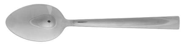Combination (Stainless) Place/Oval Soup Spoon