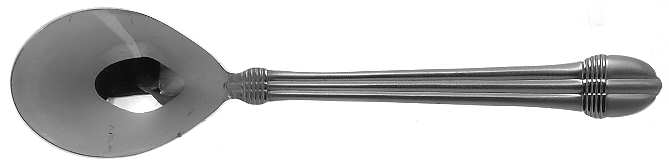 Regency Frosted (Stainless) Sugar Spoon