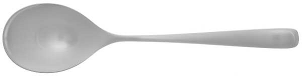 Vision (Stainless) Solid Serving Spoon