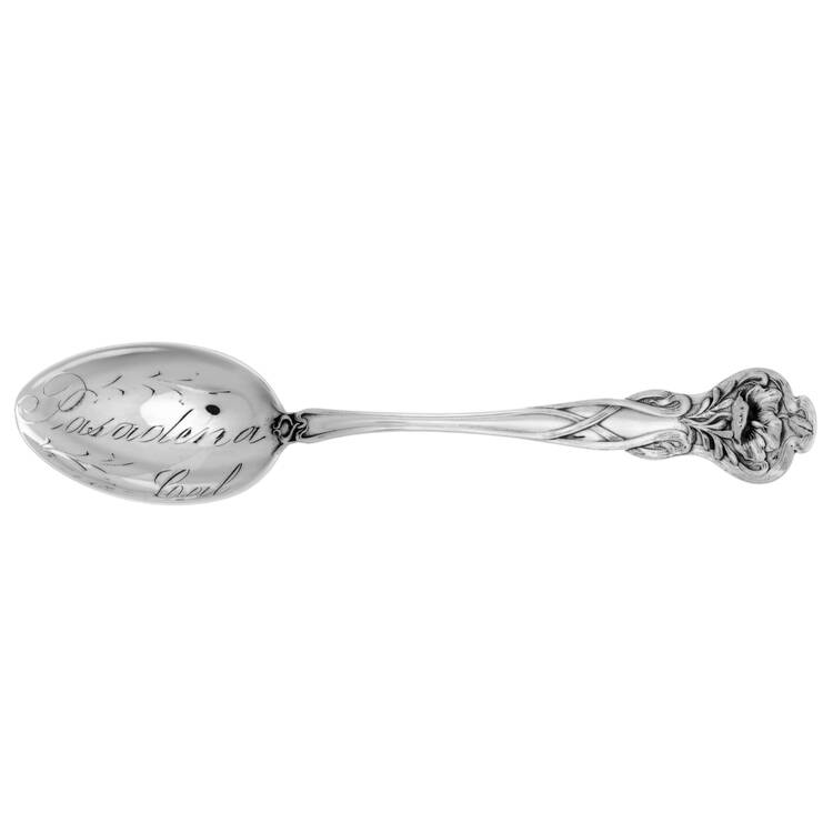 Floral Series #3 (Sterling) Five O'Clock Souvenir Spoon