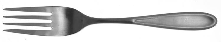 Modernaire (Stainless) Fork