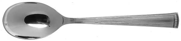 Facade (Stainless) Sugar Spoon