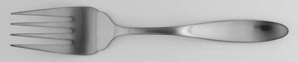 Array (Stainless) Large Solid Cold Meat Serving Fork