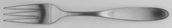 Array (Stainless) Fork