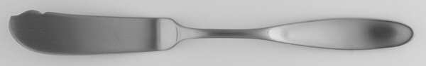 Array (Stainless) Flat Handle Master Butter Knife