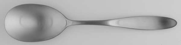 Array (Stainless) Tablespoon (Serving Spoon)