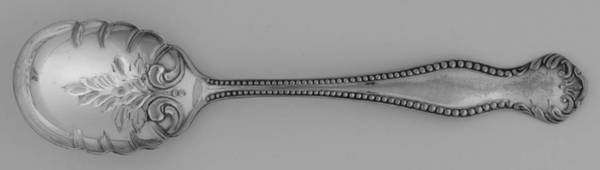 W Silver Plate One (Silverplate) Sugar Shell Spoon