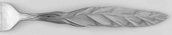 Fork