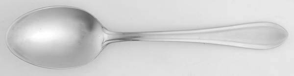 Newbury Frost (Stainless) Teaspoon