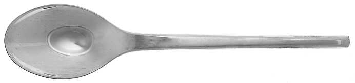 Finlandia Place/Oval Soup Spoon
