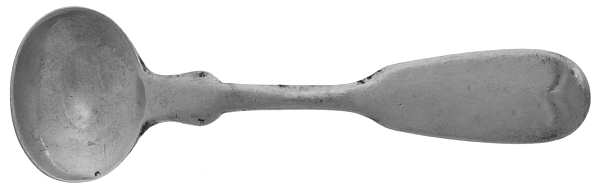 WHS41 (Coin) Master Salt Spoon