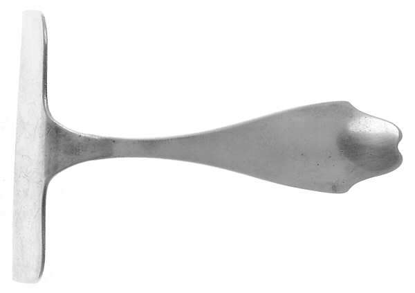 WTS45 (Sterling) Food Pusher Solid