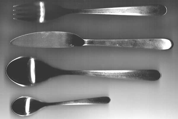 WMF160 (Stainless) Fork
