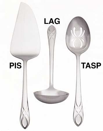Lismore Essence (Stainless) Pie Server with Stainless Blade