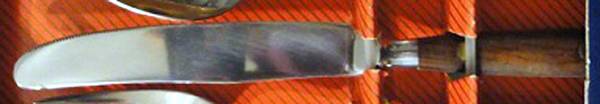 Innsbruck (Stainless) New French Hollow Knife