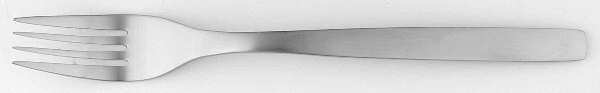 Ikone (Stainless) Fork