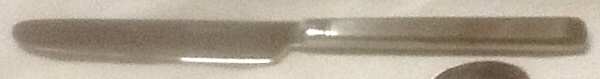 WIS22 (Stainless) New French Solid Knife