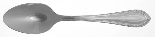 Northbridge (Stainless) Place/Oval Soup Spoon