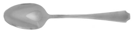 Garrett Frost (Stainless) Teaspoon