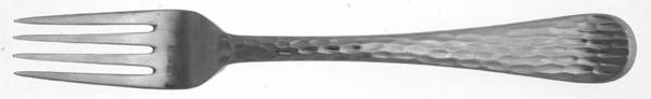 WAS246 (Stainless) Fork