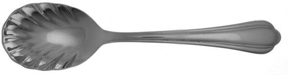 Linear Sugar Shell Spoon