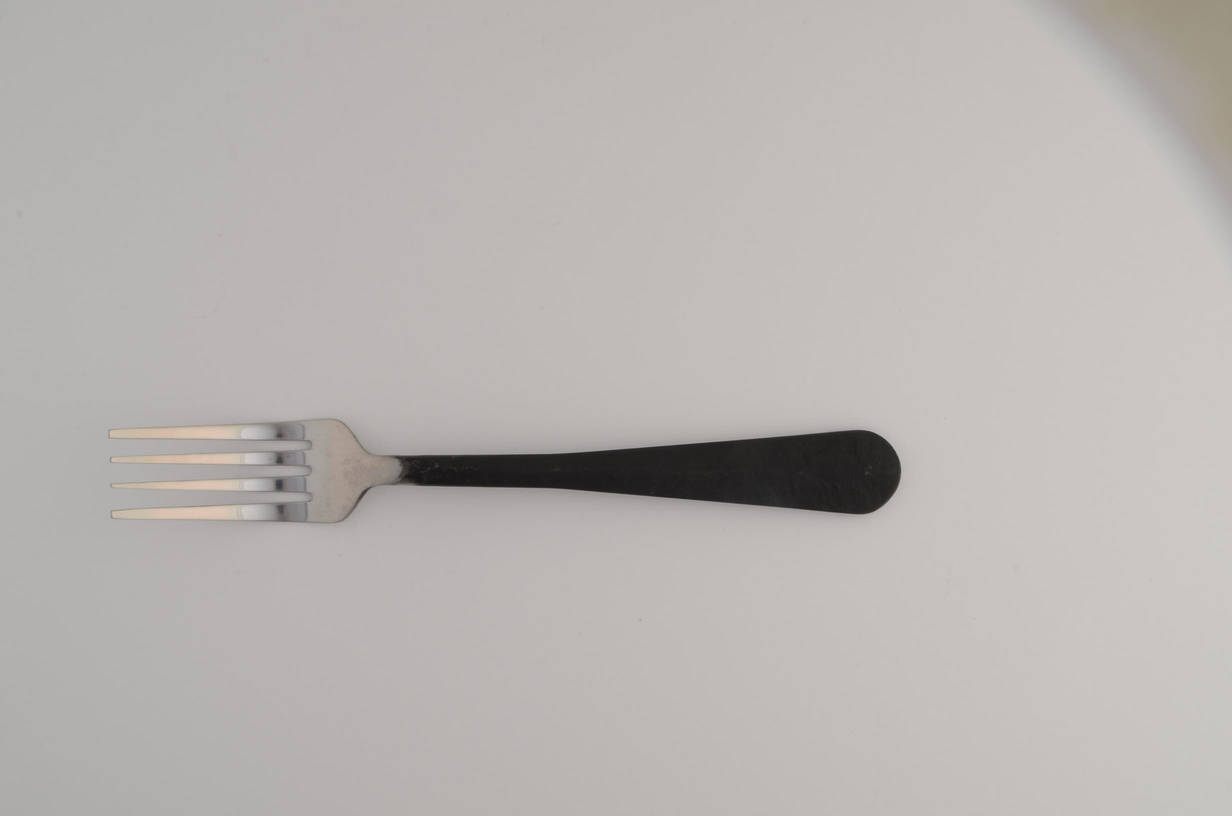Ridge (Stainless) Fork