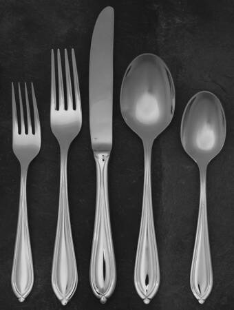 Ariana (Stainless) 5 Piece Place Setting