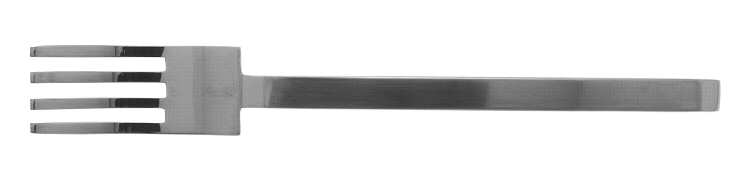 Elements (Stainless) Fork