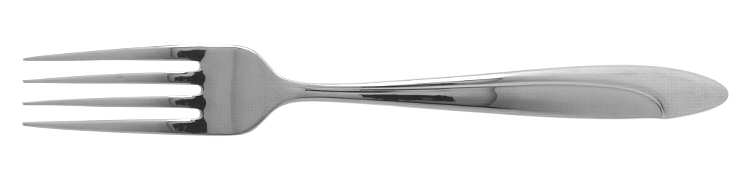 Filar (Stainless) Fork