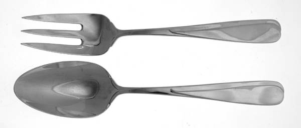 Florian (Stainless-Glossy Finish) Solid Serving Set