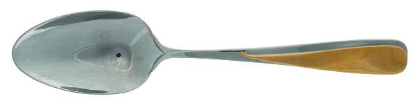 Florian (Stainless-Gold Accent) Solid Serving Spoon