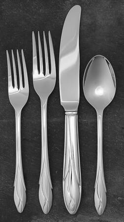 Iris (Stainless, Glossy Finish) 4 Piece Place Setting